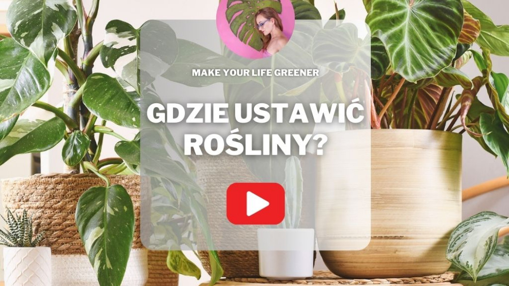 Oświetlenie roślin domowych