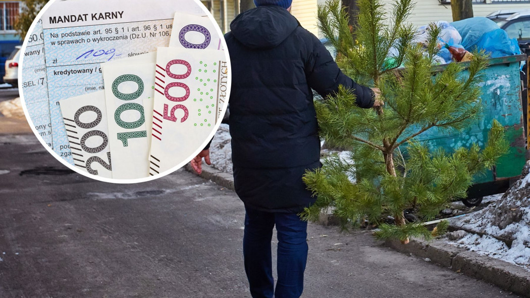 Mandat za wyrzucenie choinki na śmietnik