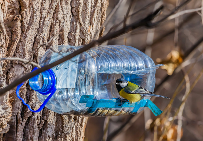 Karmnik z plastikowej butelki z daszkiem i bezpiecznym wejściem