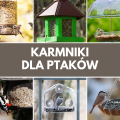 Karmniki dla ptaków | Galeria ogrodowych stołówek