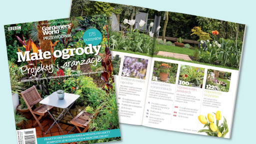 "Małe ogrody projekty i aranżacje" – zobacz wydanie specjalne magazynu Gardeners' World Edycja Polska. Zajrzyj do środka!