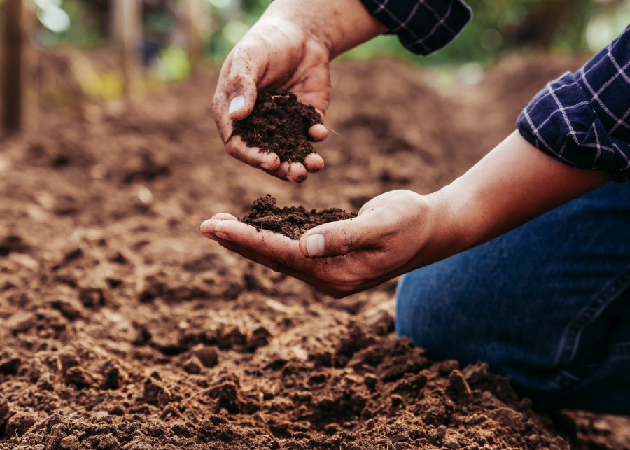 Zmęczenie gleby w ogrodzie i sposoby na jej regenerację