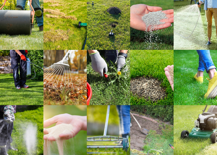 15 wiosennych zbiegów pielęgnacyjnych trawnika. Kompletny poradnik krok po kroku