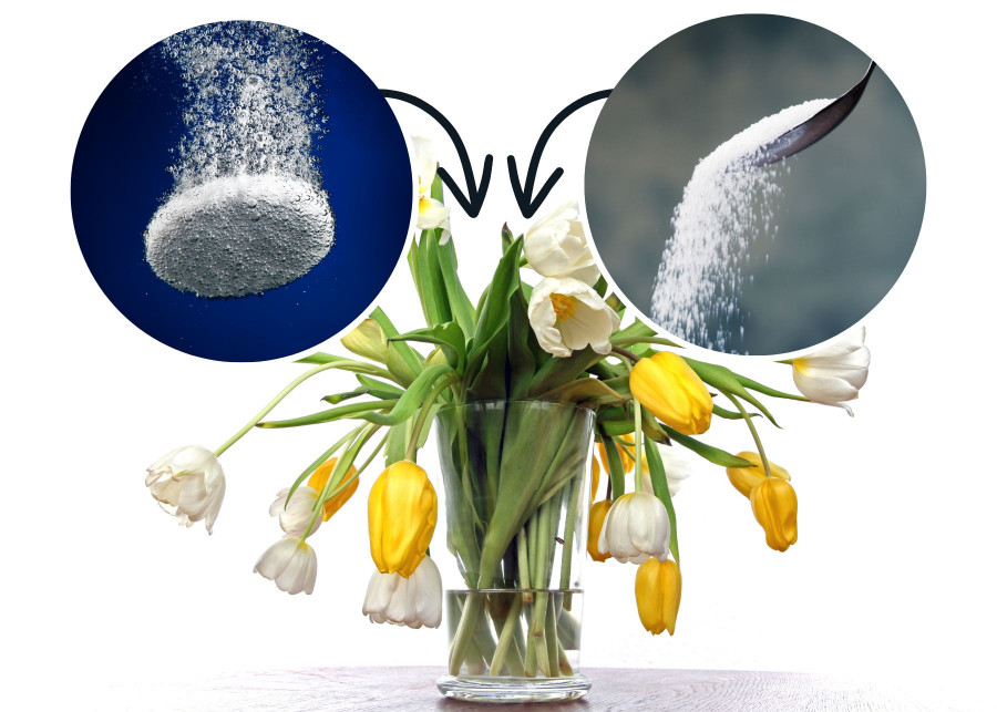 Kwiaty marnieją w wazonie - oto sposoby, by stały dłużej. Dodaj do wody łyżkę cukru lub tabletkę aspiryny. 