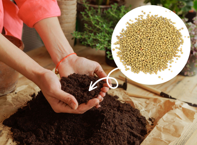 Zapomnij o dodatkowym nawożeniu. Te podłoża mają już w sobie nawóz, który działa nawet pół roku