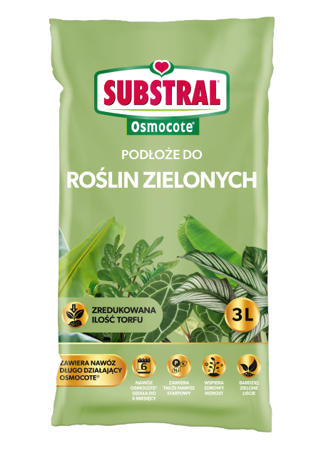 Substral - Gotowe podłoże do roślin zielonych z długodziałającym nawozem Osmocote