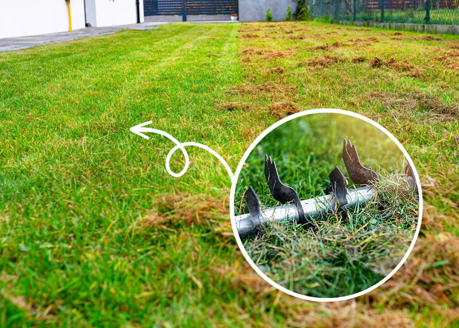 Wyczesywanie trawnika z martwej darni, mchu i filcu to najważniejszy wiosenny zabieg pielęgnacji trawnika po zimie. 