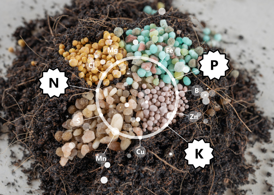 Nawozy uniwersalne do ogrodu zawierają azot, fosfor i potas
