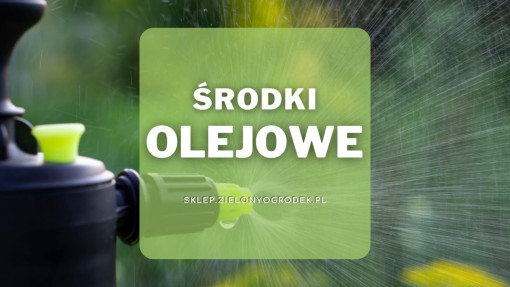 Środki olejowe | Jakie wybrać i gdzie kupić?