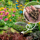 Jak nawozić ogród bez chemii? Te granulki poprawią jakość gleby i odżywią rośliny – Naturalnie!