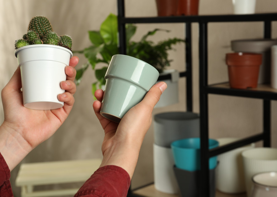 Doniczka plastikowa czy ceramiczna - jaka będzie najlepsza do roślin domowych?