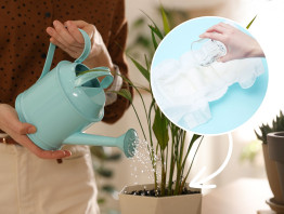 Twoje rośliny szybko więdną? Zrób jedną rzecz, a...