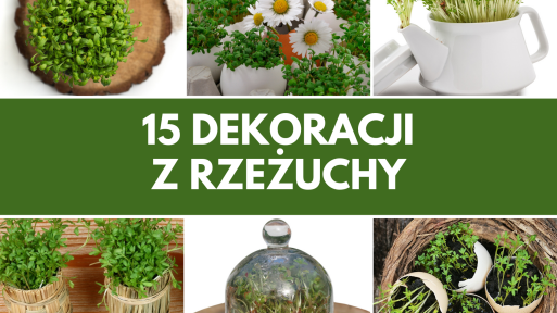 15 dekoracji z rzeżuchy na Wielkanoc | Zaskocz swoich gości i postaw je na świątecznym stole 