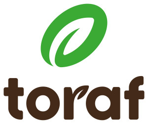 Toraf