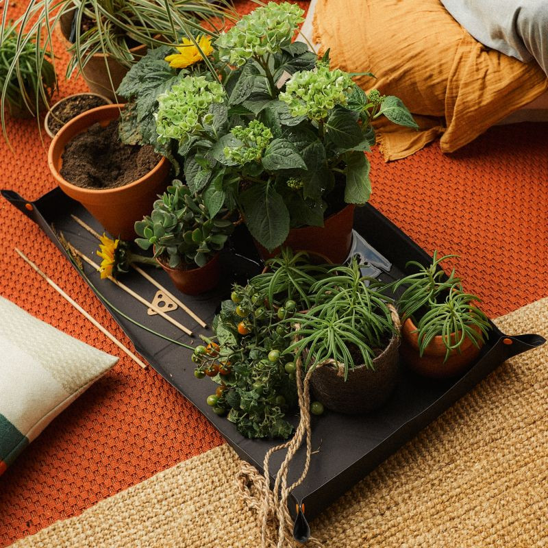 Mata - narzędzia do pielęgnacji roślin doniczkowych Urban Plant Care od Fiskars