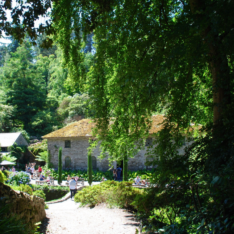 Dawny młyn w romantycznym zakątku w angielskim ogrodzie Bodnant Garden