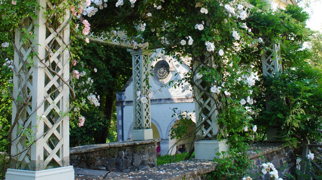 Bodnant Garden tarasy różane i pergola porośnięta pnącymi różami