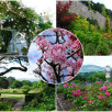 Powis Castle | Wycieczka do angielskiego ogrodu