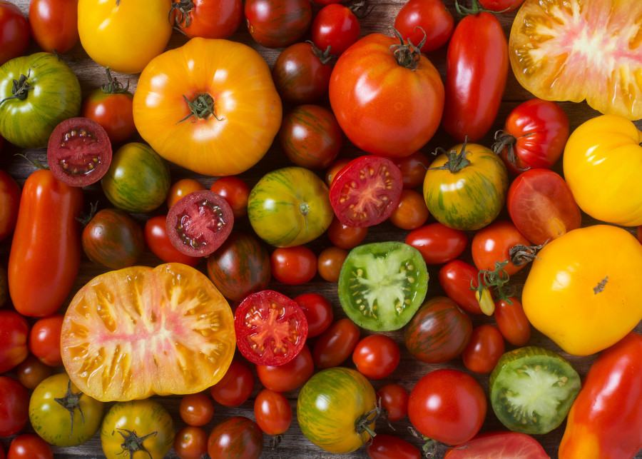Pomidory wyhodowane we własnym ogrodzie bez chemii smakują najlepiej