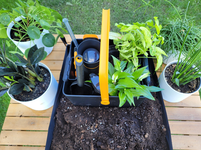 Nowa linia narzędzi Fiskars Urban Plant Care do roślin doniczkowych