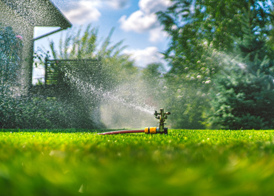 Nawadnianie trawnika – kiedy i jak skutecznie nawadniać trawnik?