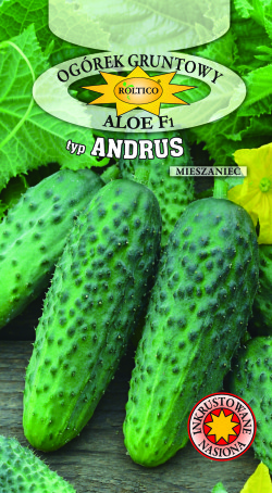 Ogórek ALOE F1