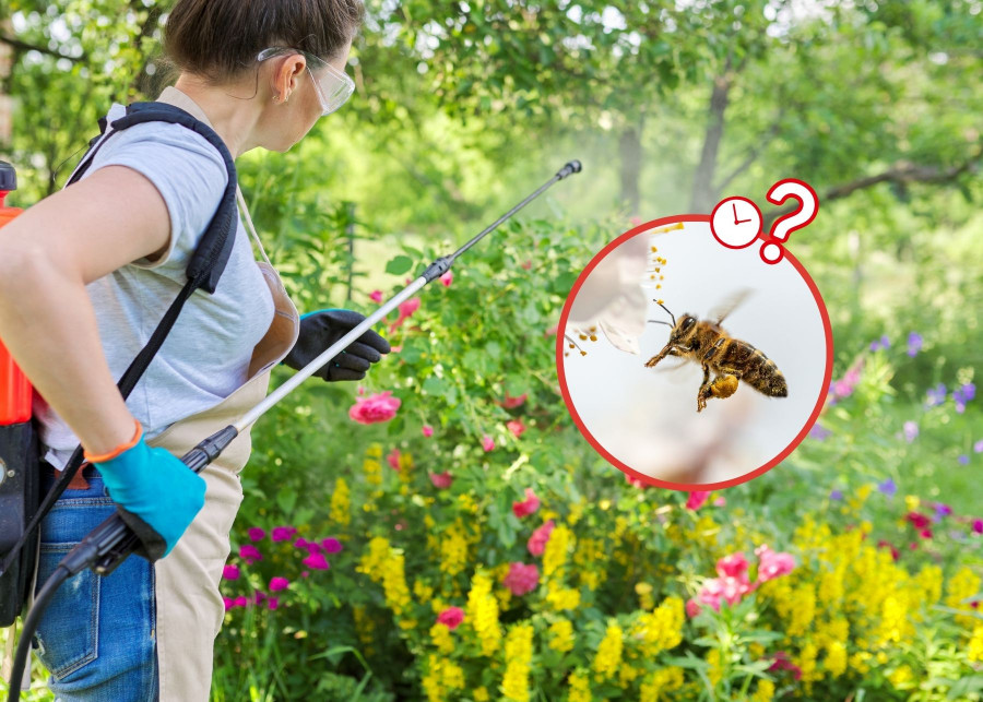 Prewencja – czyli jak nie szkodzić pszczłom i bezpiecznie wejść do grodu