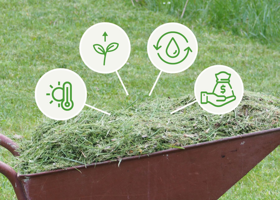 Nie wyrzucaj ścinków po skoszonym trawniku - wykorzystaj i oszczędzaj