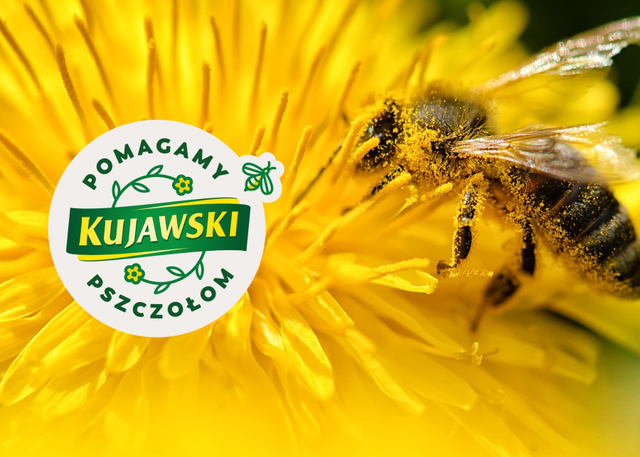 Poznaj program „Z Kujawskim pomagamy pszczołom”!