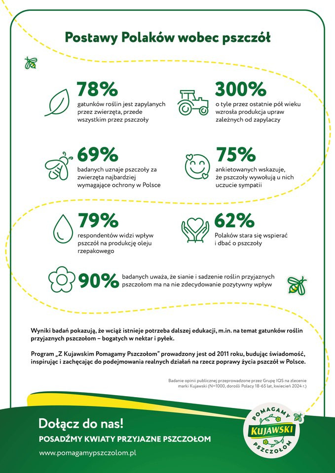 Wyniki badań: Polacy wspierają ochronę pszczół