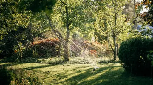 Jak podlewać ogród komfortowo i oszczędnie? Fiskars ma rozwiązanie. Sprawdź produkty