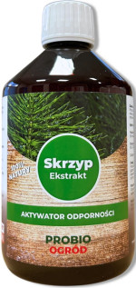 Ekstrakt ze skrzypu