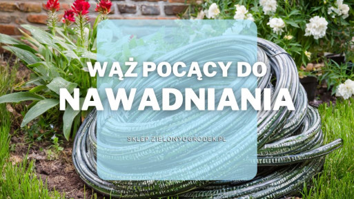 Wąż nawadniający pocący | Jaki wybrać i gdzie kupić?