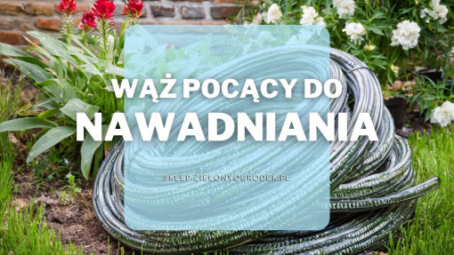 Wąż nawadniający pocący | Jaki wybrać i gdzie kupić?