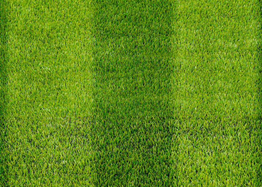 Trawnik jak murawa piłkarska na stadionie. Tak zrobisz dwukolorowe pasy