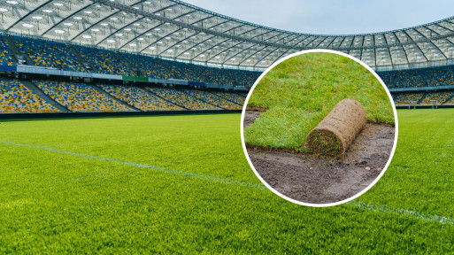 Jaka trawa rośnie na stadionach? Czy trawa na boisku jest z rolki?