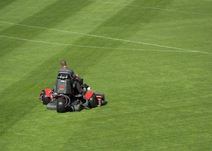 Z jakich kosiarek korzystają stadiony?