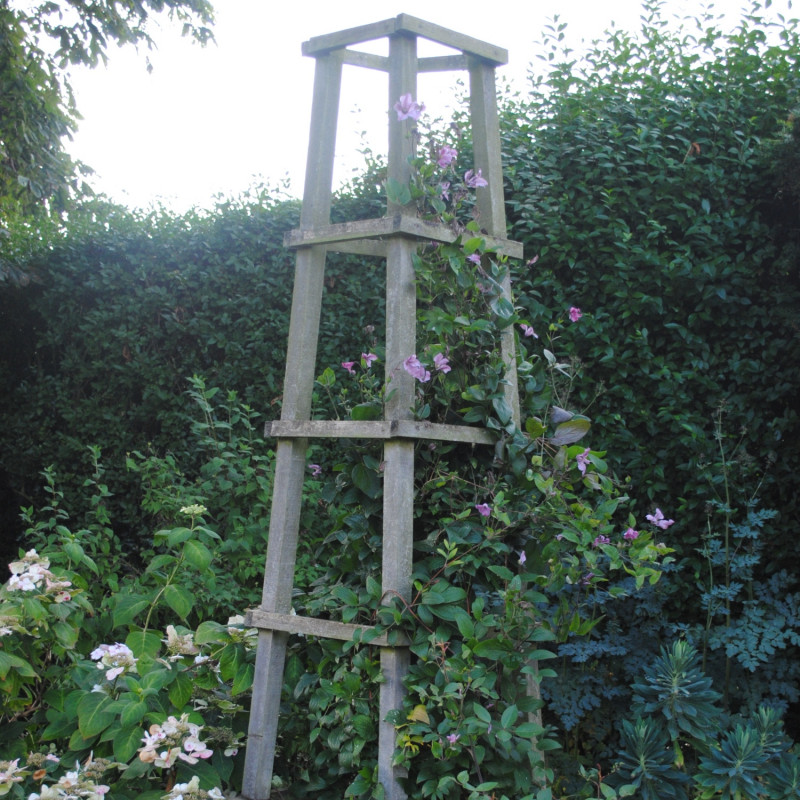 obelisk i pnąca róża w ogrodzie Coton Manor