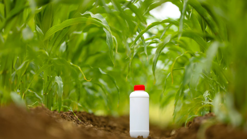 Co stosować zamiast Roundupu? Chemiczne i naturalne alternatywy