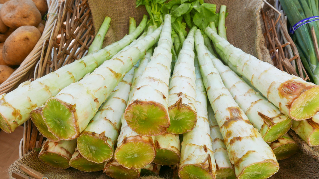 Sałata łodygowa (łac. Lactuca sativa var. angustana) nazywana też szparagową lub pędową