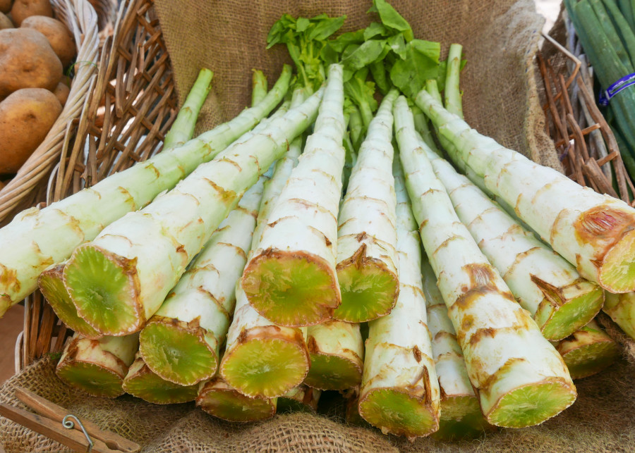 Sałata łodygowa (łac. Lactuca sativa var. angustana) nazywana też szparagową lub pędową