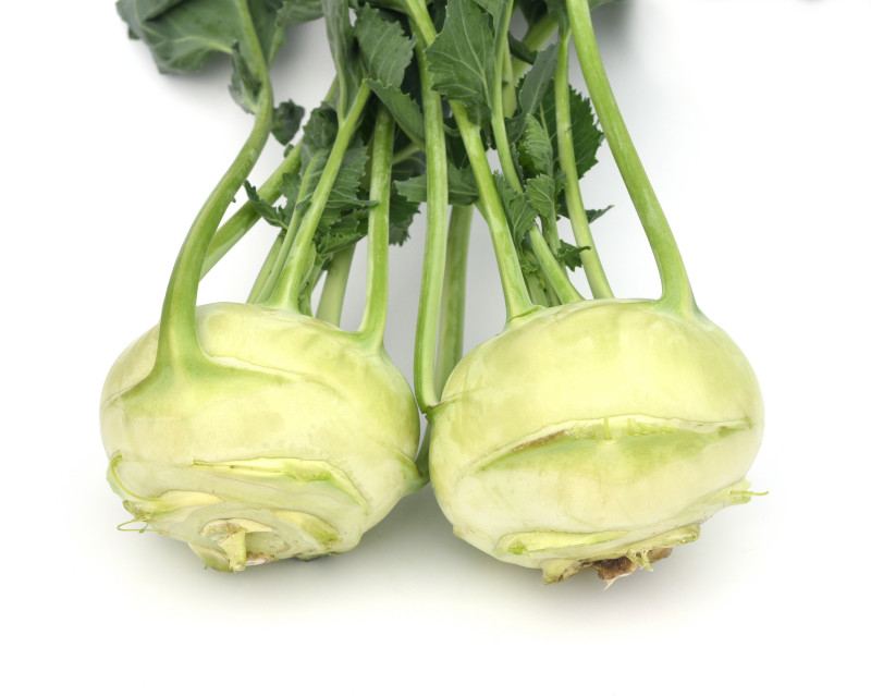 Kalarepa (Brassica oleracea var. gongylodes)