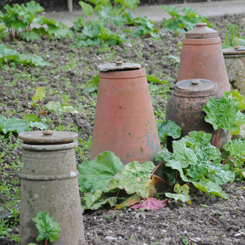 Ceramiczne dzwony do pędzenia roślin w Heligan w Kornwalii