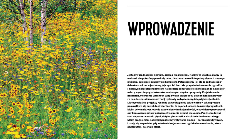 Projektowanie ogrodów naturalistycznych. Podstawowe zasady - Nigel Dunnett