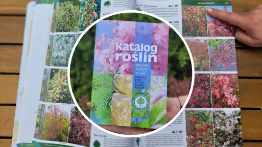 Czy nowy "Katalog Roślin" to must-have dla ogrodników i architektów? Nasza opinia i recenzja