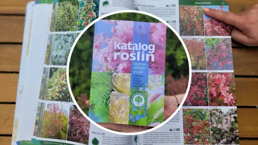 Czy nowy "Katalog Roślin" to must-have dla ogrodników i architektów? Nasza opinia i recenzja