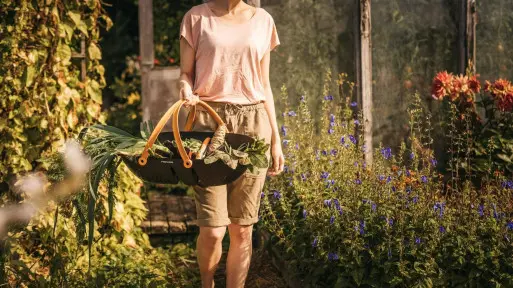 Te narzędzia uczynią zbiory plonów przyjemnością