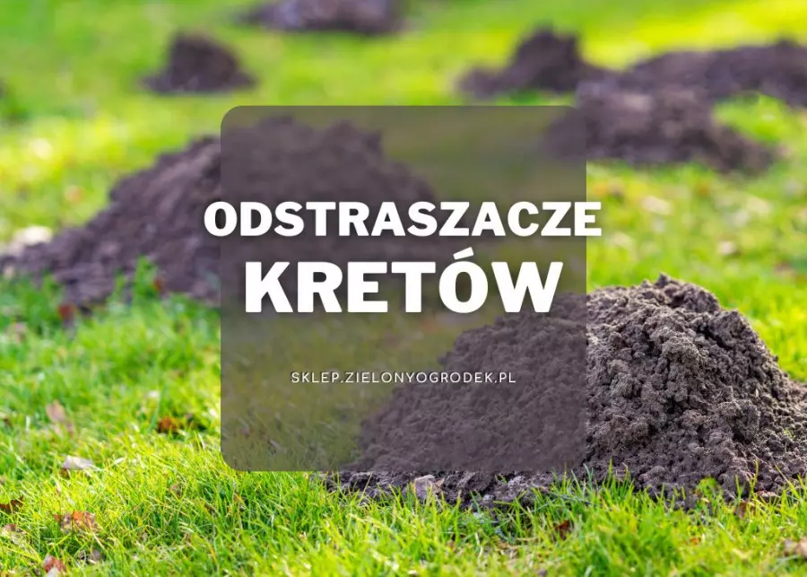 Odstraszacze kretów