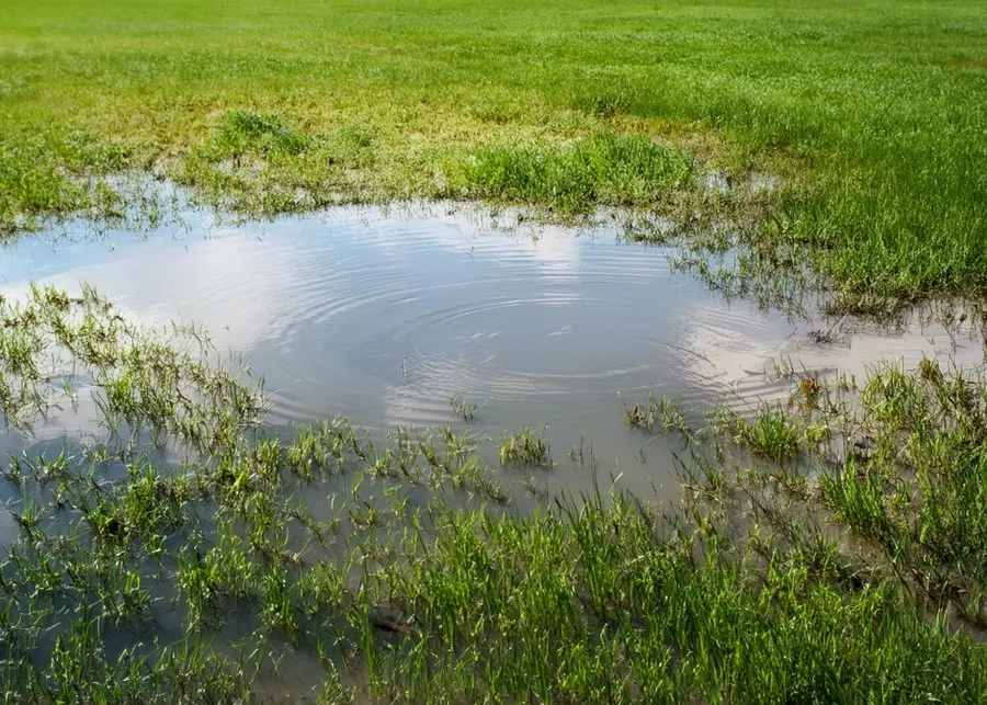 Woda stoi na trawie po deszczu? Niezbędny jest drenaż trawnika