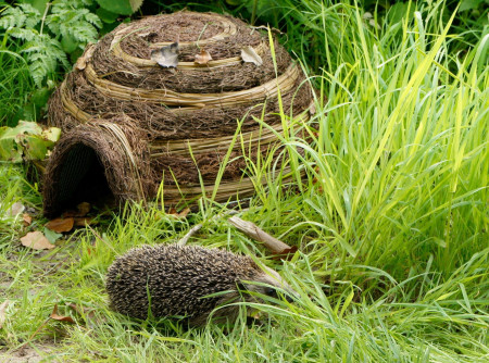 Duży domek dla jeża